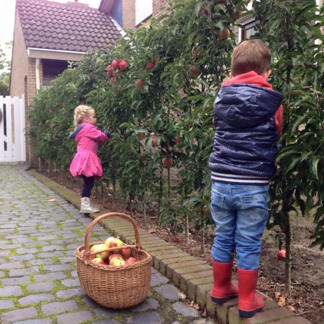 Redspring Viva en Ruben 2