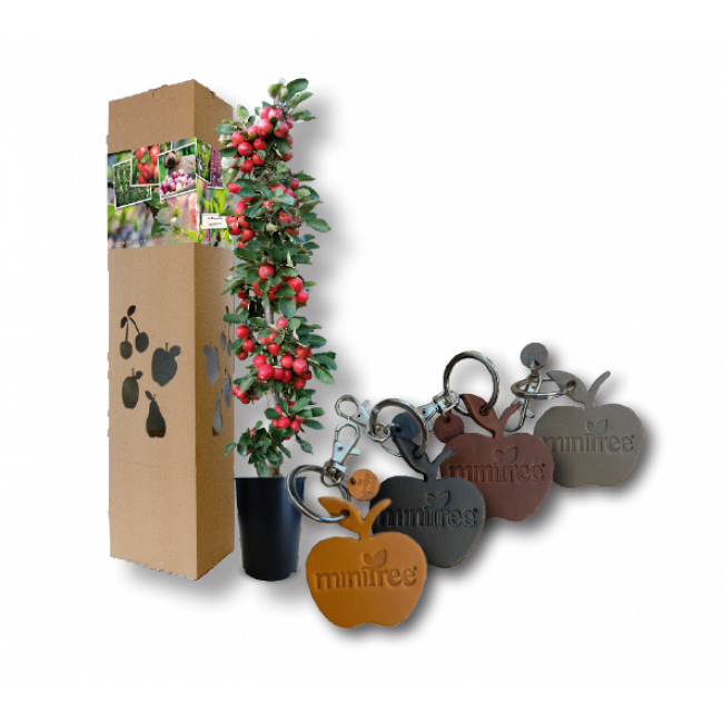 Moederdag Appelboompje Sleutelhangers