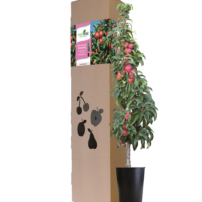 FLEU_Redspring_verpakking_boom